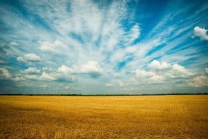 134 ITNS FAQ ENTITY NPO What is a Farmers' Cooperative IRS Definition of a Farmers' Cooperative